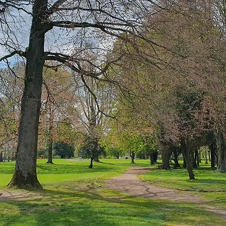 Le Contemporain 阿拉斯